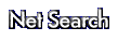 Search the net